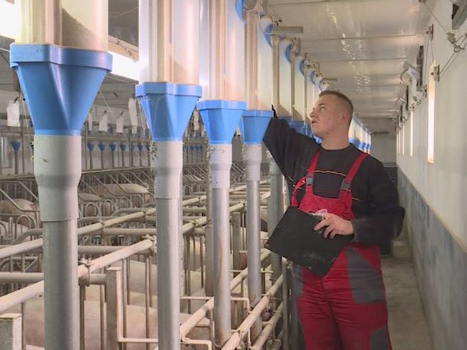 Пољопривреда Пољопривреда - Фото: РТРС