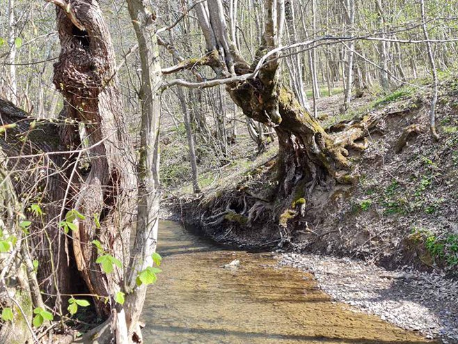 Прољеће - Фото: РТРС