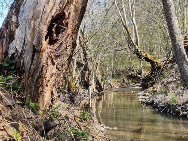 Прољеће - Фото: РТРС