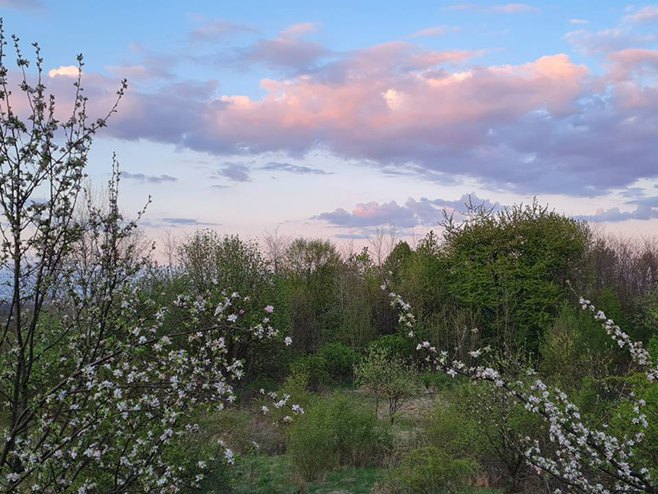 Прољеће Прољеће - Фото: РТРС