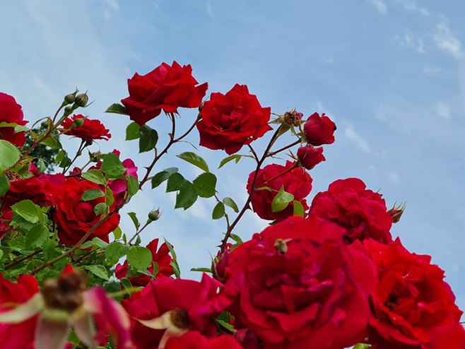 Какво нас вријеме очекује за Васкрс?