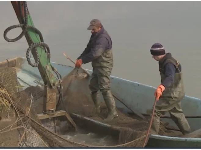 Рибњак Саничани Рибњак Саничани - Фото: РТРС