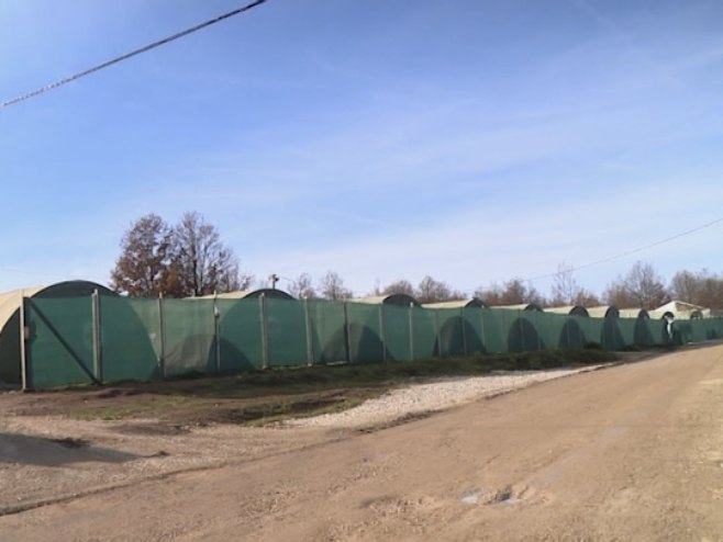 Мигрантски камп Липа Мигрантски камп Липа - Фото: РТРС