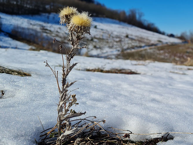 Зима Зима - Фото: РТРС