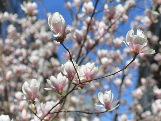 Топло уз сунчане периоде, али и наоблачење