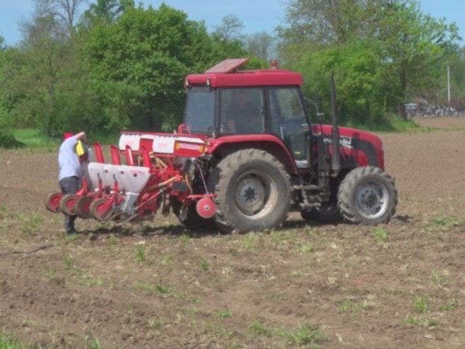 Сјетва Сјетва - Фото: РТРС