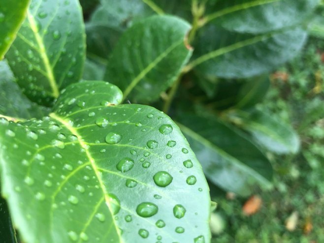 Киша Киша - Фото: РТРС