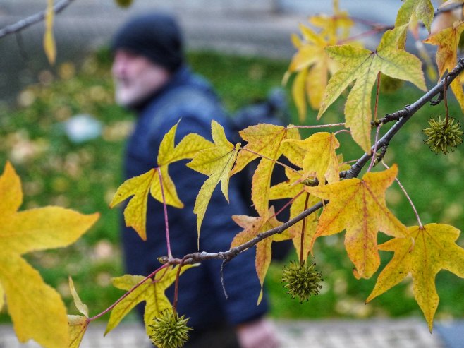 Зима (Фото: TANJUG/ VLADIMIR ŠPORČIĆ/ nr) - 