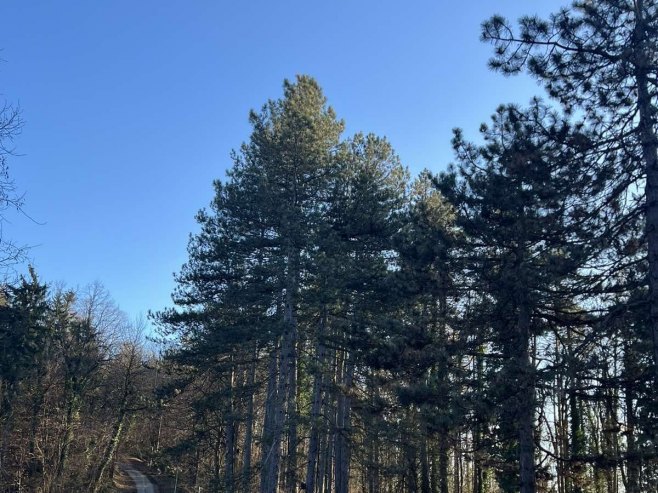 Бањ брдо - Фото: РТРС