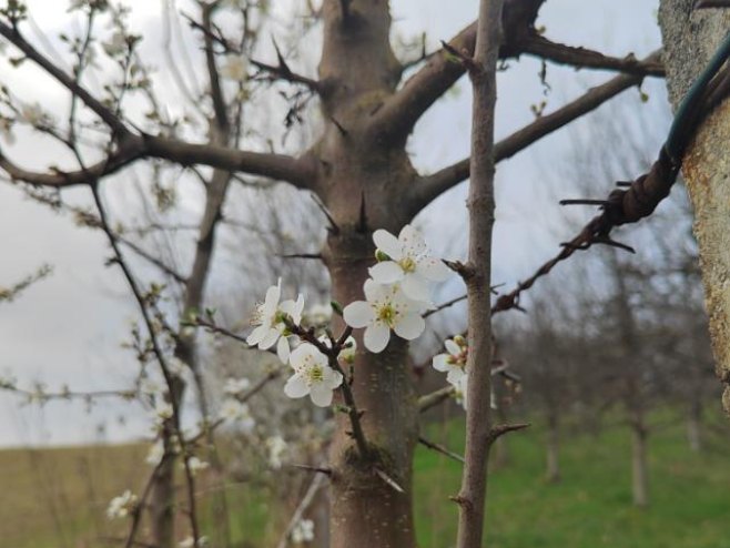 Сутра умјерено облачно, најтоплије на сјевероистоку (ВИДЕО)