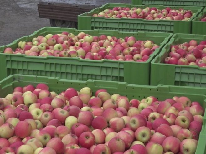 Кошарац: Рекордна реализација извоза јабука и крушака потврда успјешне сарадње са Руском Федерацијом