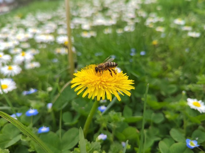 У суботу сунчано уз умјерену облачност
