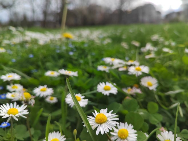 Сутра топло, уз смјену сунчаних периода и облачности