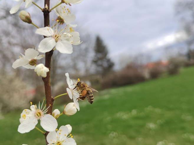 Од понедјељка промјенљиво, дневна температура до 19 степени