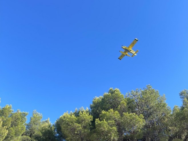 Канадер - Фото: РТРС