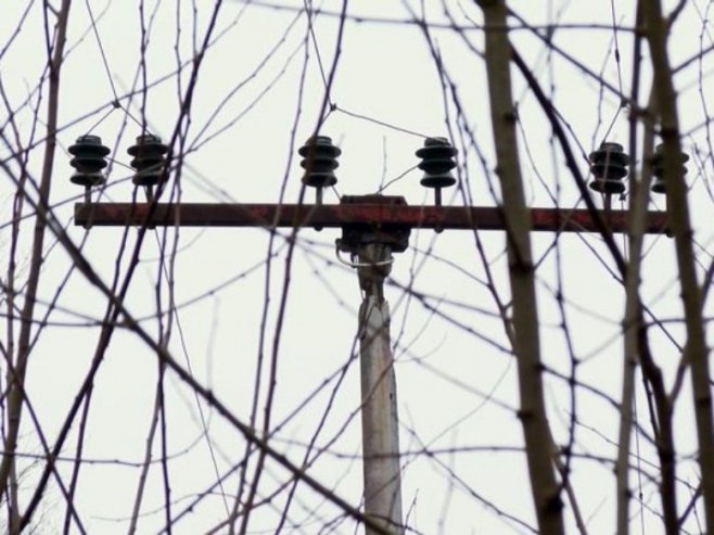 Струја Струја - Фото: РТРС
