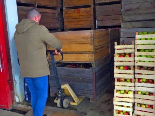 Складиштење воћа - Фото: РТРС