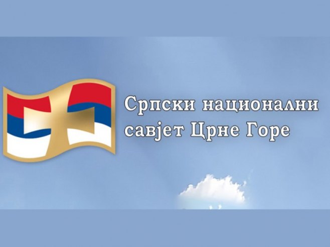 Српски национални савјет Црне Горе - Фото: РТРС
