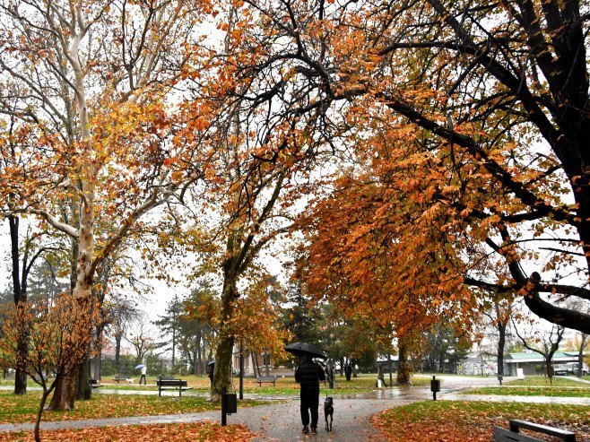 Киша (Фото: TANJUG/ ANA PAUNKOVIĆ/ nr) - 