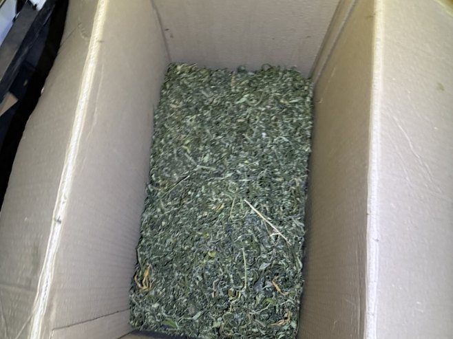 Одузета марихуана - Фото: Уступљена фотографија