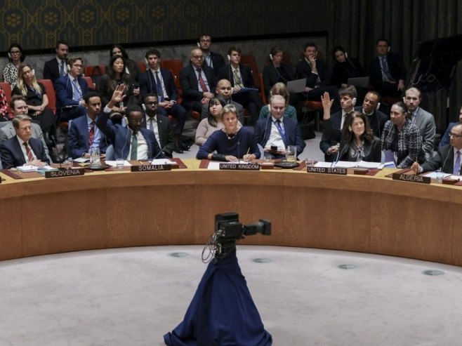Савет безбедности Уједињених нација (фото: EPA/SARAH YENESEL) - 