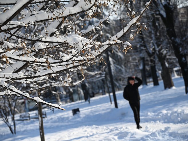 Зима (Фото: Танјуг/Ана паунковић) Зима (Фото: Танјуг/Ана паунковић) -