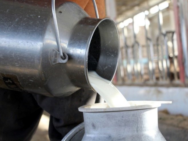 Млијеко (Фото: EPA/STRINGER, илустрација) Млијеко (Фото: EPA/STRINGER, илустрација) -