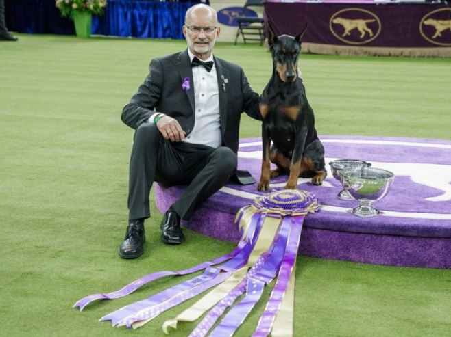 Доберман Пени побједник 150. изложбе паса у Њујорку (Фото: EPA/OLGA FEDOROVA) - 