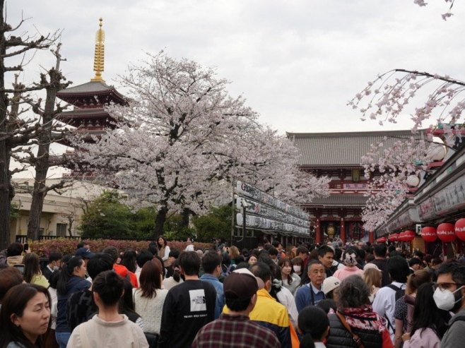 Фестивал у Јапану (Фото: EPA/KIMIMASA MAYAMA, илустрација) - 