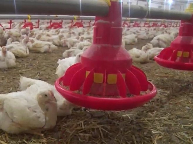 Перадарство - Фото: РТРС