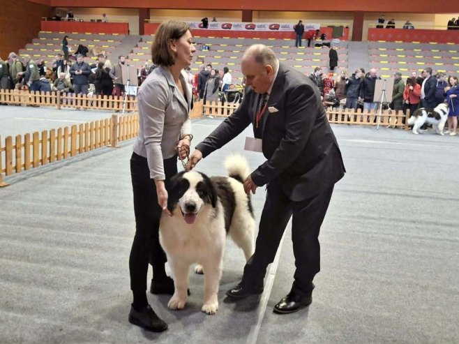 Нови Град: Изложба паса - Фото: СРНА