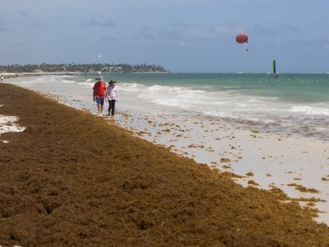 Океан (Фото: EPA/Orlando Barria, илустрација) - 