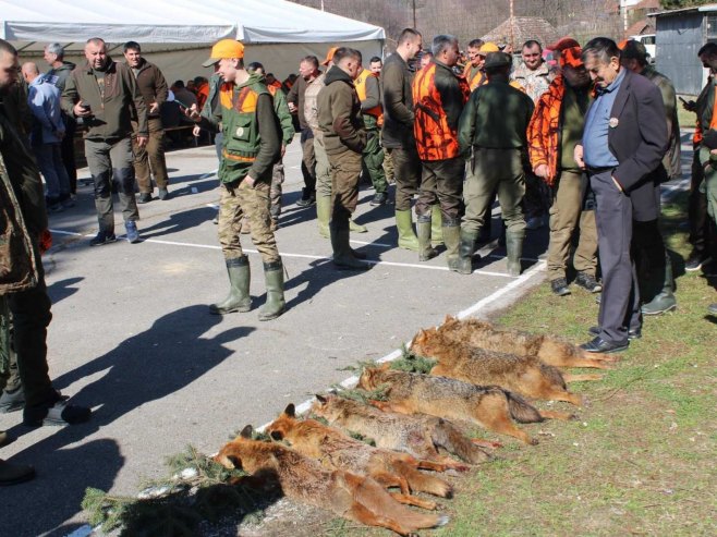 Лопаре - лов Лопаре - лов - Фото: СРНА