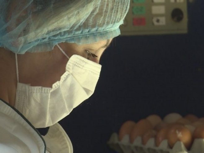 Птичији грип - Фото: РТРС