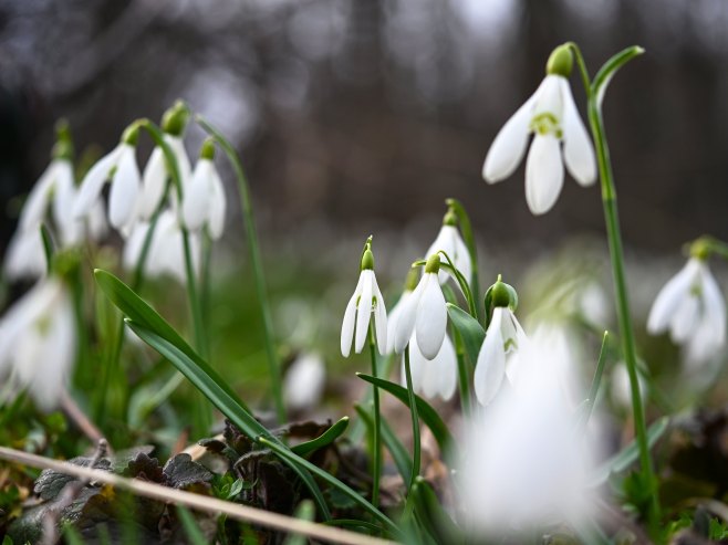 У сриједу топло, температура до 19 степени (ВИДЕО)