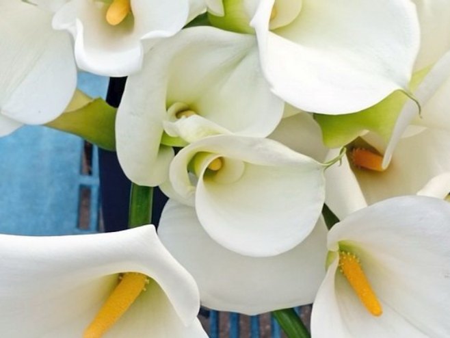 Кале - Фото: РТРС