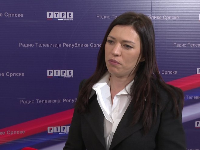 Вулић: Звиздић ирелевантан за Републику Српску