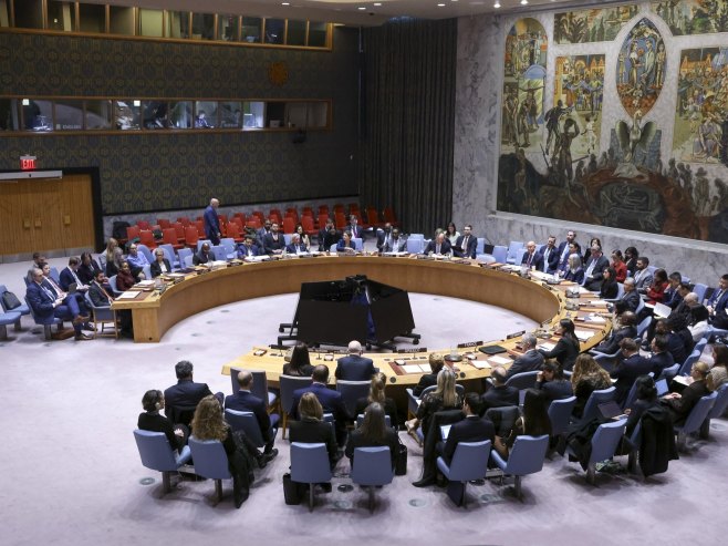 Савјет безбједности УН (Фото: EPA/SARAH YENESEL) - 