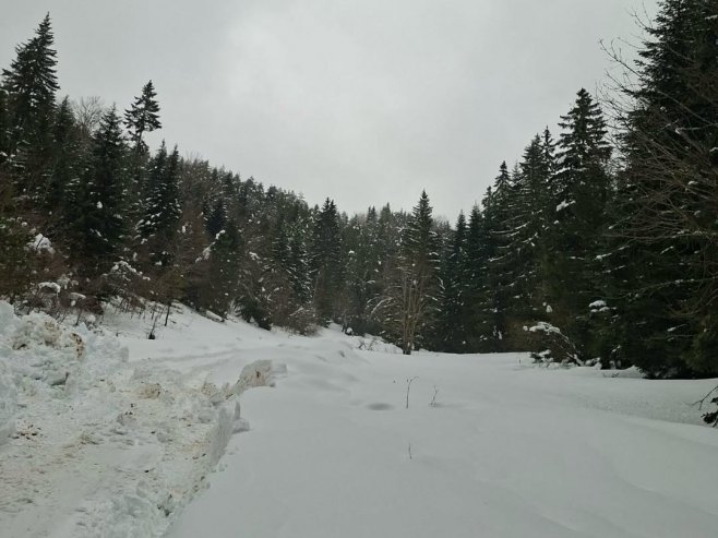 Зеленгора (Фото: www.instagram.com/mup.srpske/) - 