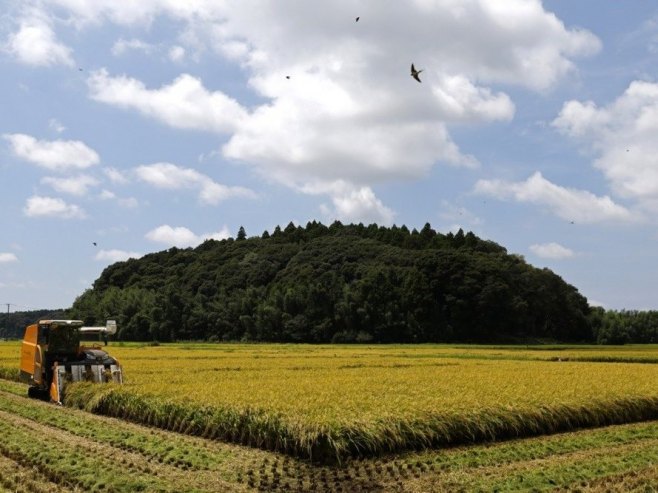 Пољопривреда (Фото: EPA/FRANCK ROBICHON/илустрација) - 