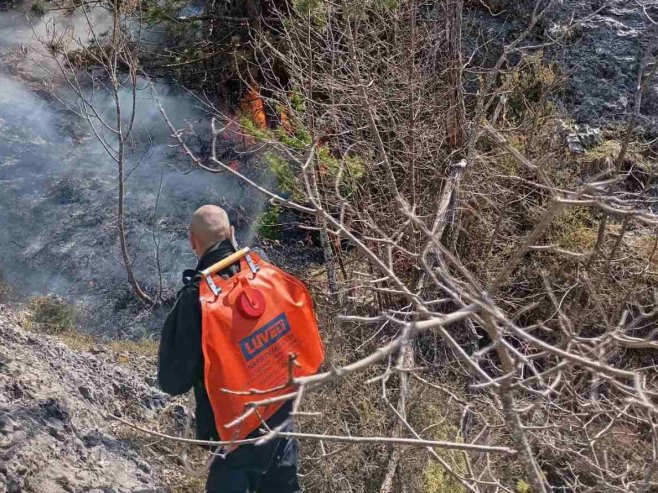 Пожар између Требиња и Никшића - Фото: Уступљена фотографија