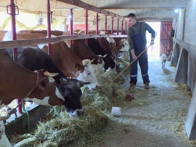 Пољопривреда - Фото: РТРС