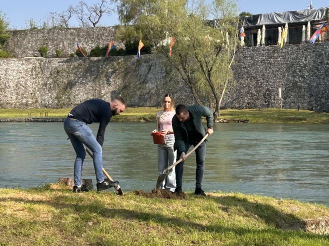 Група младих активиста засадили стабла уз ријеку Врбас - Фото: РТРС