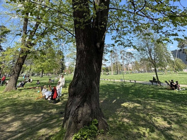 Парк Младен Стојановић - Фото: Уступљена фотографија