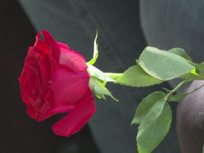 Помен - Фото: РТРС