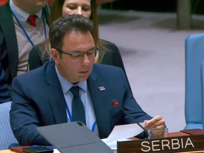 Илић на сједници СБ УН: Међународна заједница да подржи изабране домаће политичке актере у БиХ