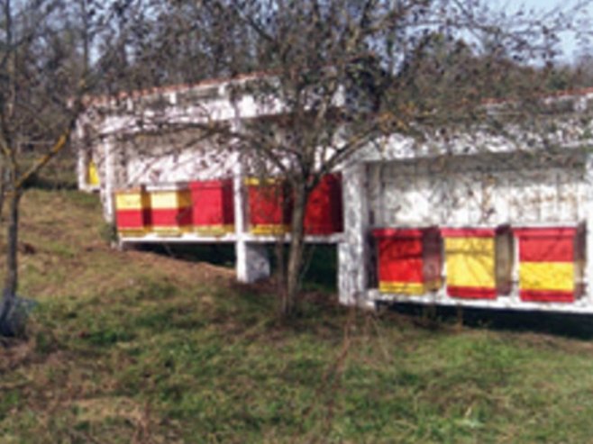 Романијски мед заштићен ознаком поријекла