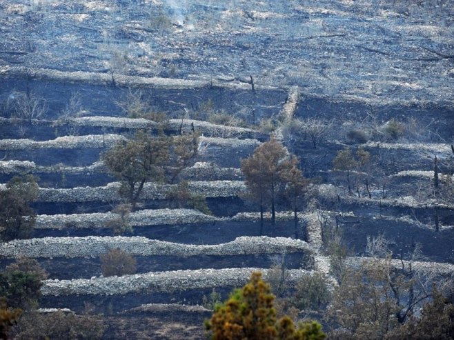 Посљедице пожара у Хрватској, архива (Фото: EPA/STR) Посљедице пожара у Хрватској, архива (Фото: EPA/STR) -