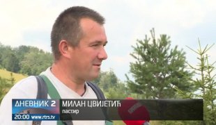 Дневник 2