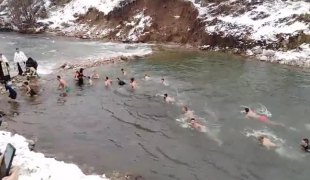 Вијести